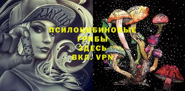 PSILOCYBIN Верея