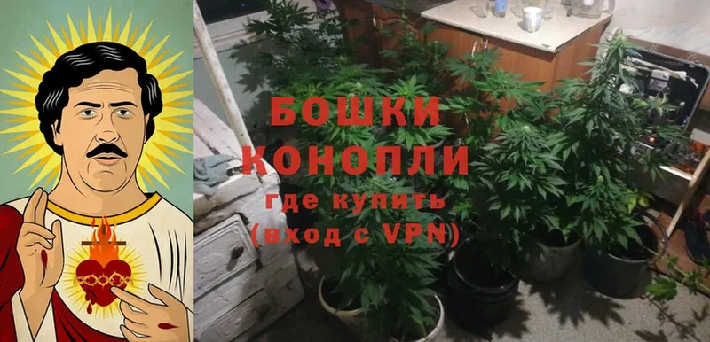 Бошки марихуана Bruce Banner  мега зеркало  Кстово  купить наркотик 